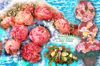 fiori6